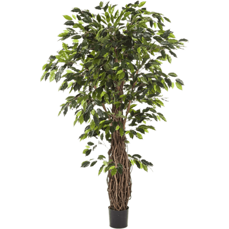 Ficus Liana XL - kunstplant