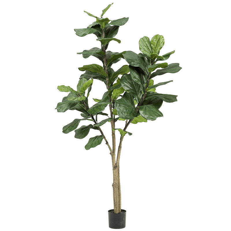 Ficus Lyrata vertakt - kunstplant