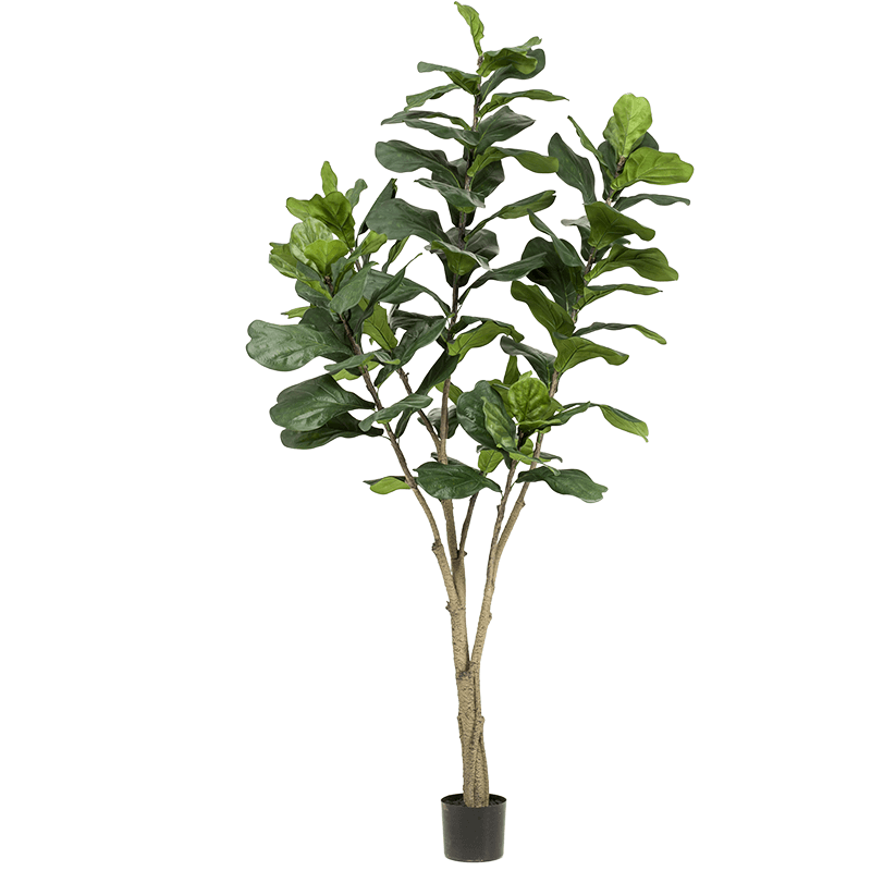 Ficus Lyrata vertakt - kunstplant