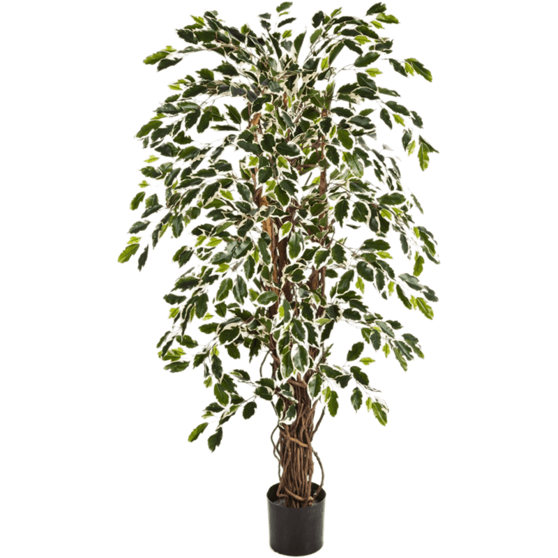 Ficus Liana variegata - kunstplant