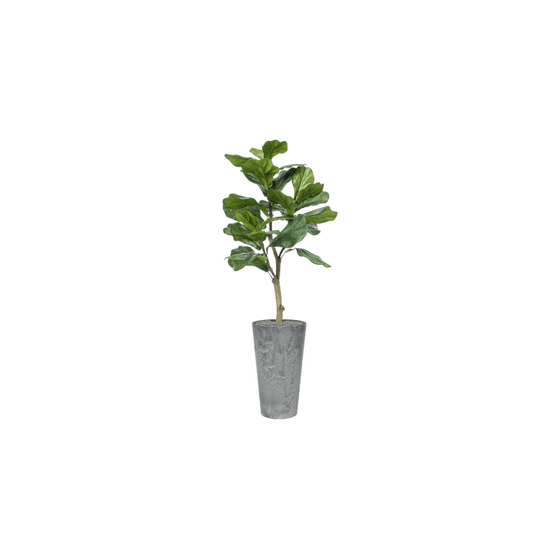 Ficus lyrata in Claire Pot Hoog Grijs - kunstplant