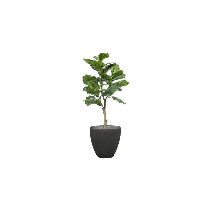 Ficus lyrata in Polystone Couple Zwart - kunstplant