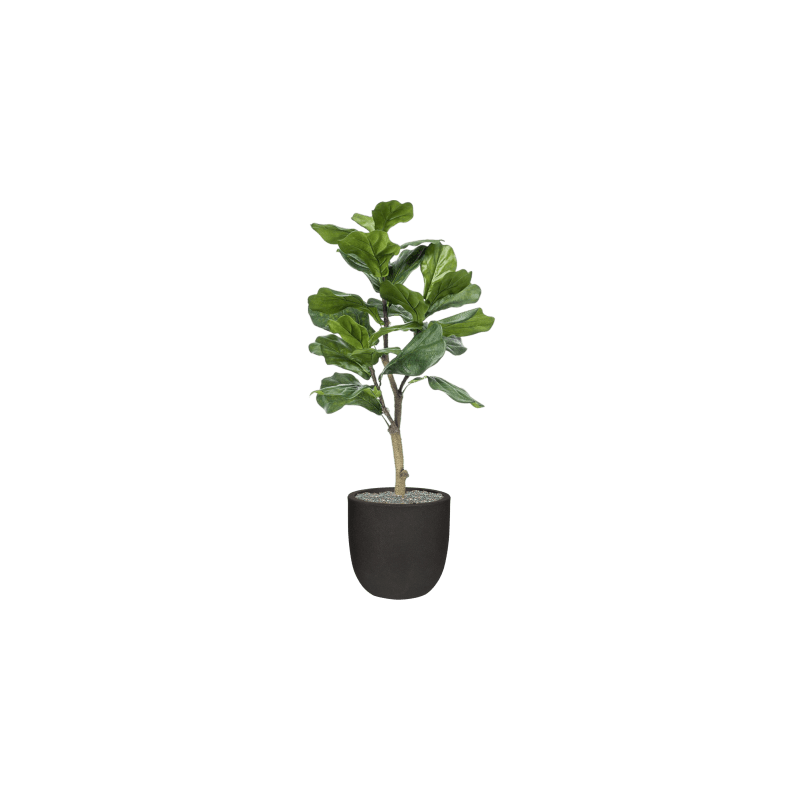 Ficus lyrata in Capi Urban Smooth Egg Zwart - kunstplant