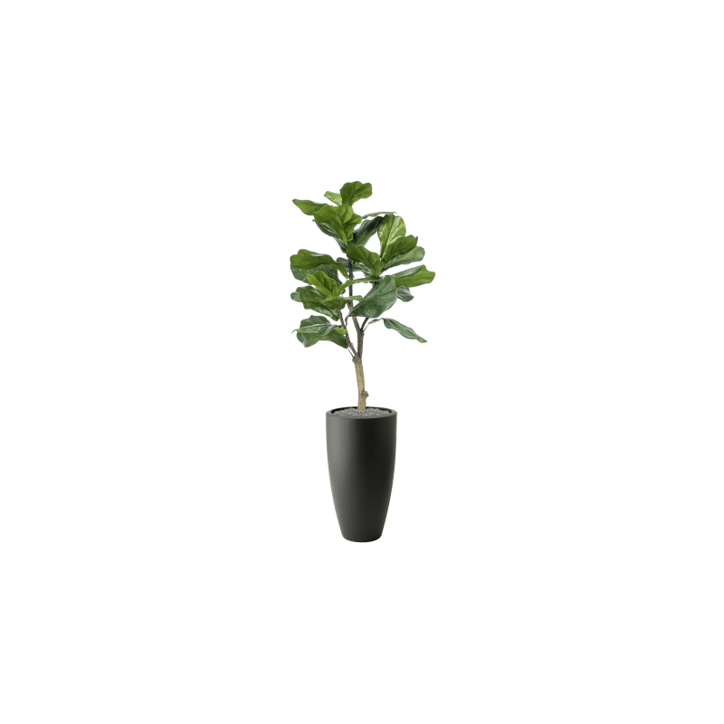 Ficus lyrata in Elho Pure Soft Rond Hoog Antraciet - kunstplant