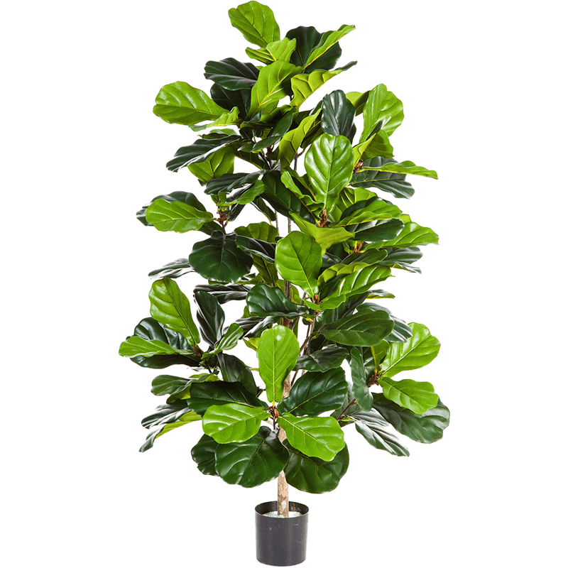 Ficus Lyrata - kunstplant