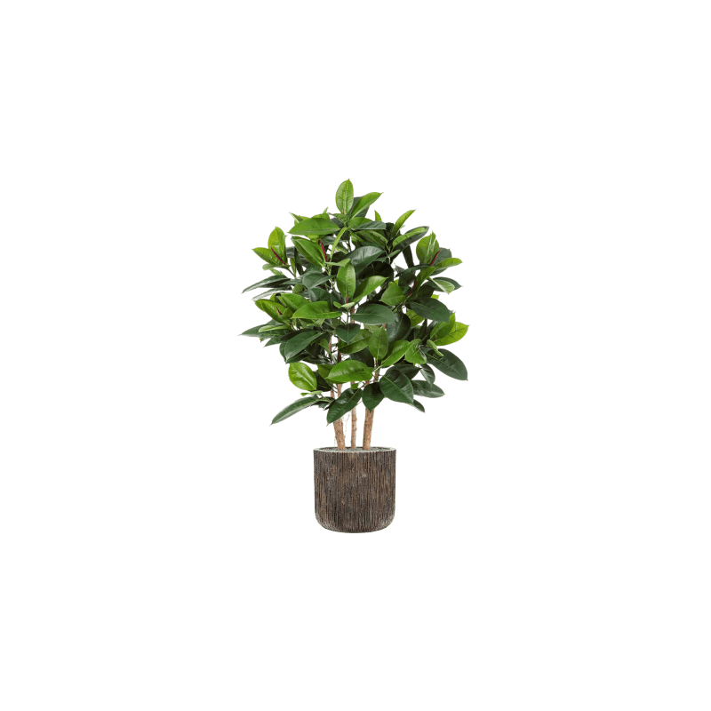 Ficus elastica in Luxe Lite Universe Waterfall Cilinder - kunstplant