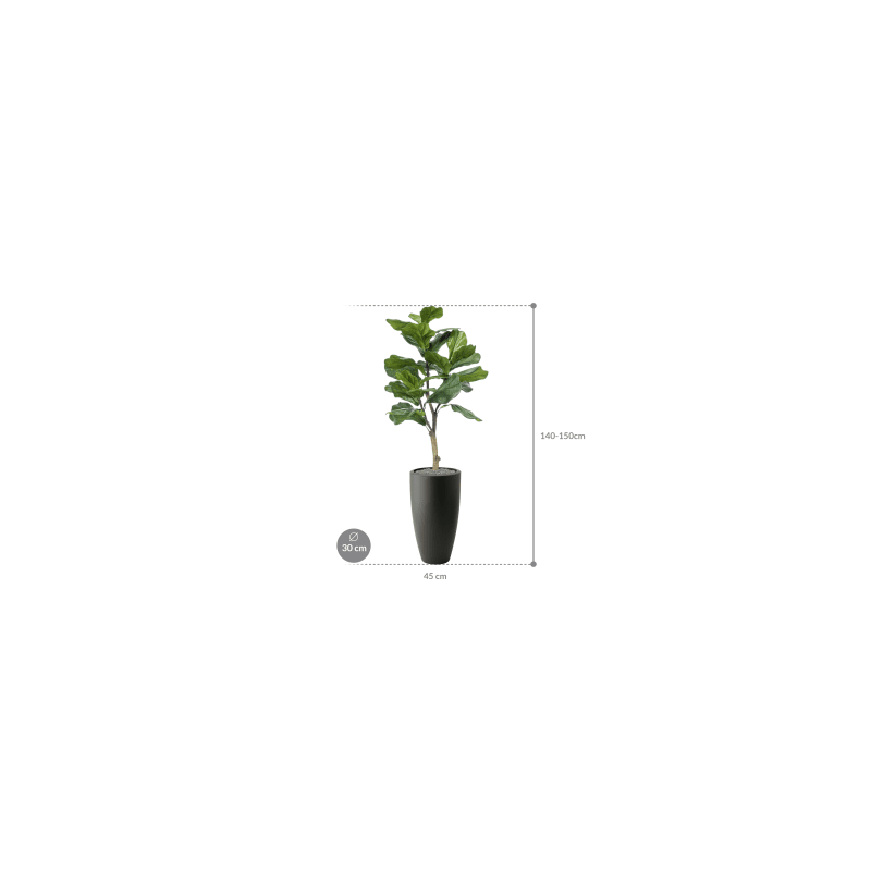 Ficus lyrata in Elho Pure Soft Rond Hoog Antraciet - kunstplant