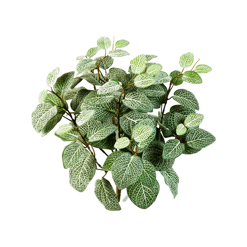Fittonia bush - kunstplant