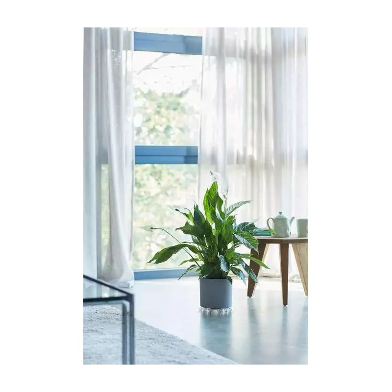 Elho Floorprotector
