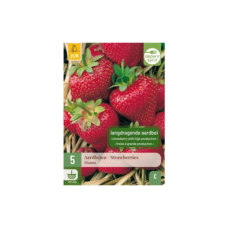 Fragaria Elsanta - 5 stuks