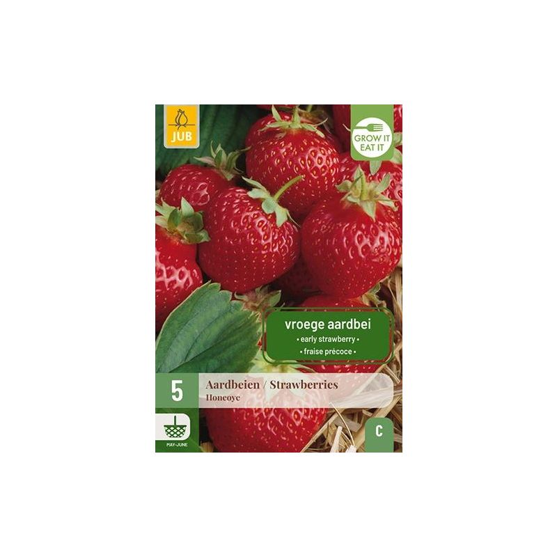 Fragaria Honeoye - 5 stuks