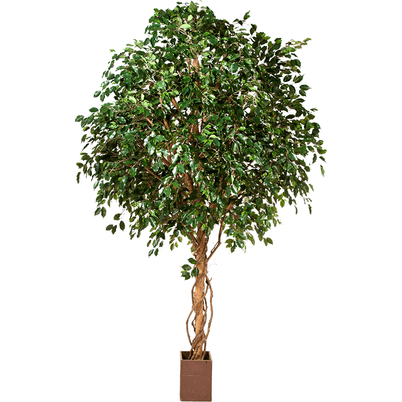 Giant Ficus Exotica - kunstplant