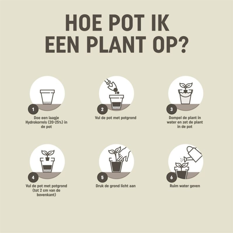 Pokon kamerplanten potgrond 10L