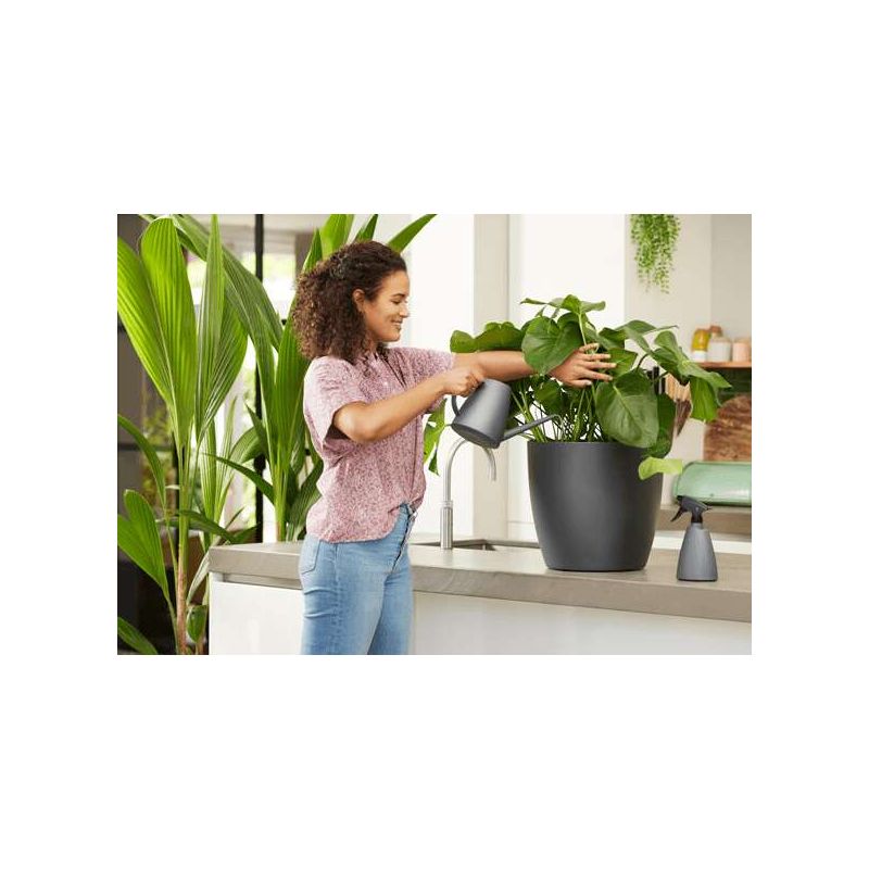 Elho Brussels Gieter & Plantenspuit Antraciet