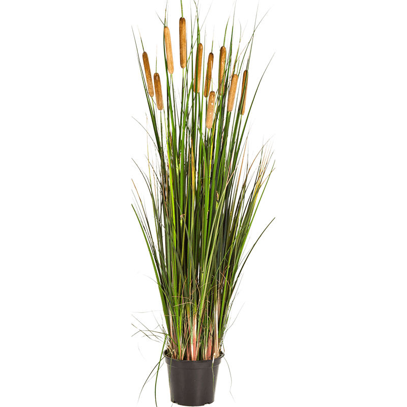 Grass Cattail - kunstplant