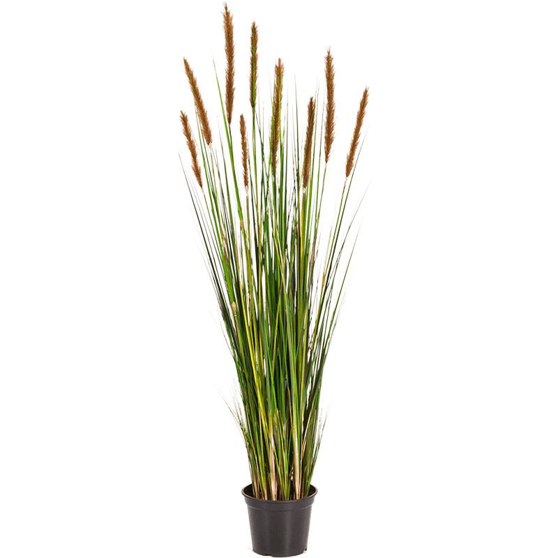 Grass Foxtail Orange-Brown - kunstplant
