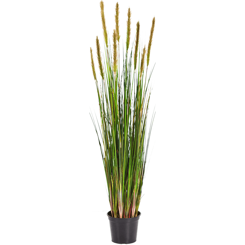 Grass Foxtail - kunstplant