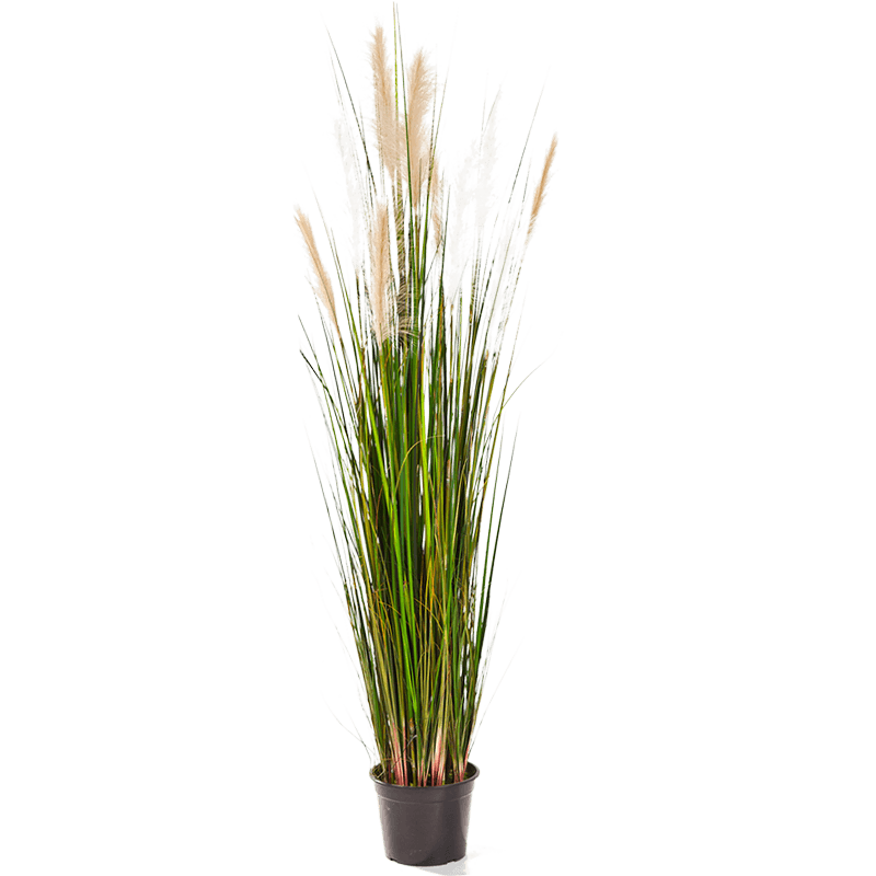 Grass Reed - kunstplant