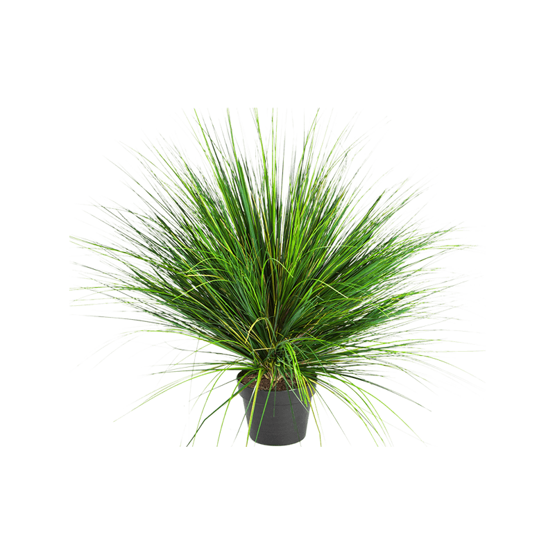 Grass Onion - kunstplant