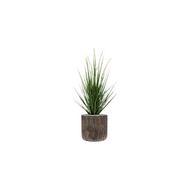 Grass Alopecurus in Luxe Lite Universe Waterfall Cilinder - kunstplant