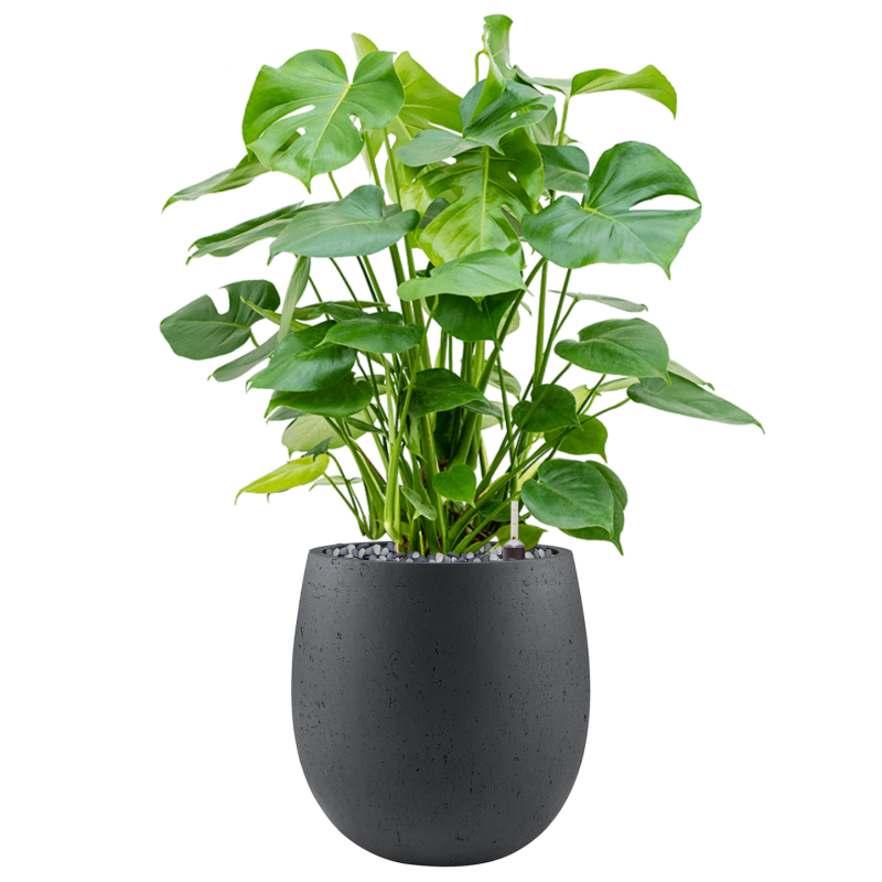 Grigio Balloon Concrete Antraciet