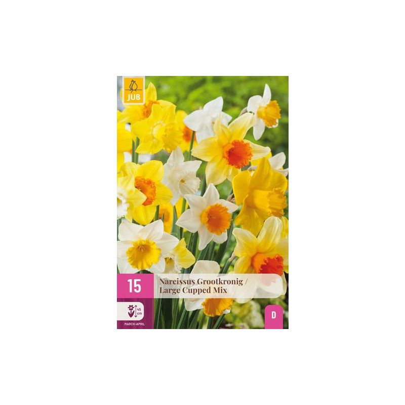 Narcissus grootkronig mix - 15 stuks