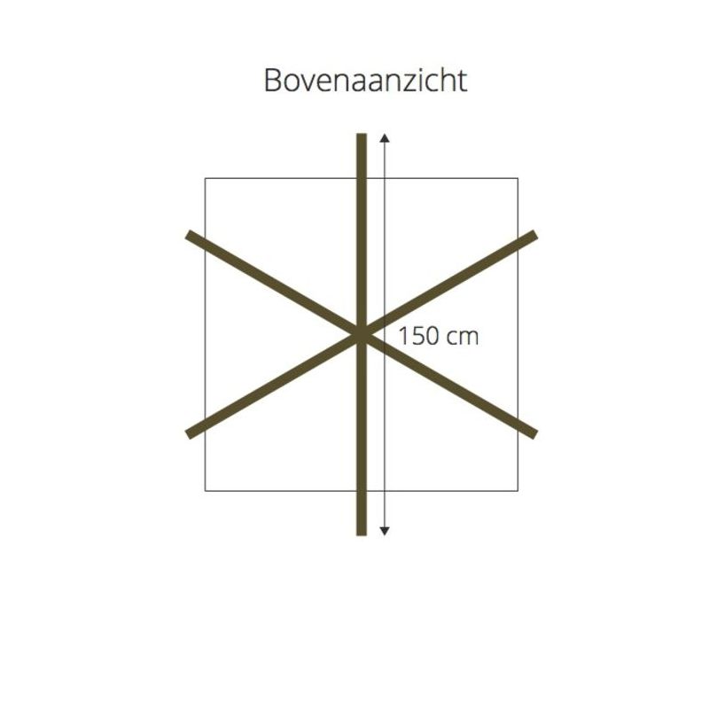 Carpinus betulus - kruisdak