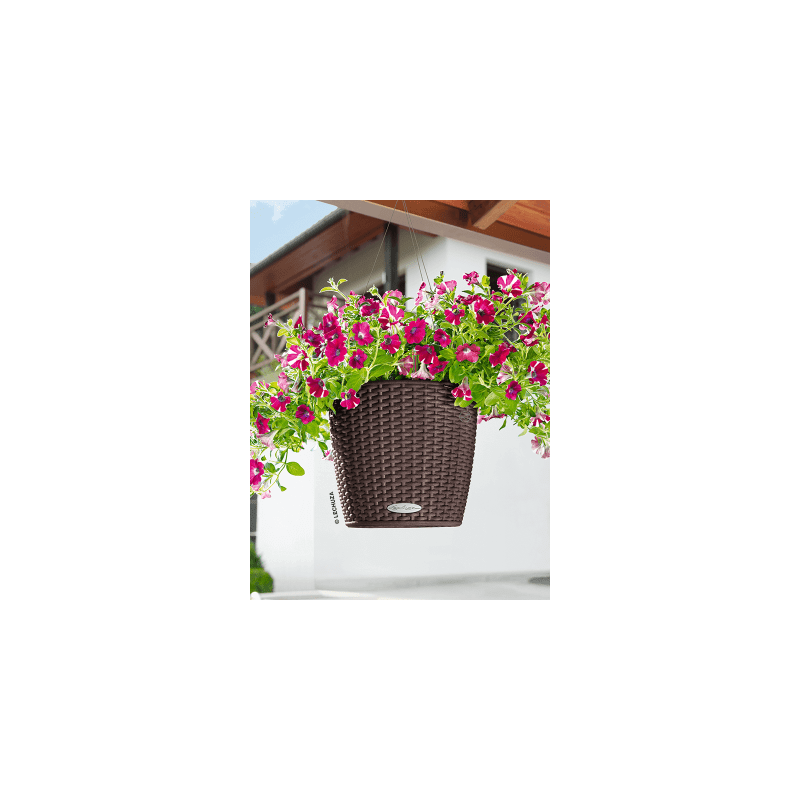 Lechuza Hanger Cottage Bruin