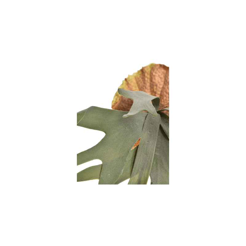 Hertshoornvaren - kunstplant