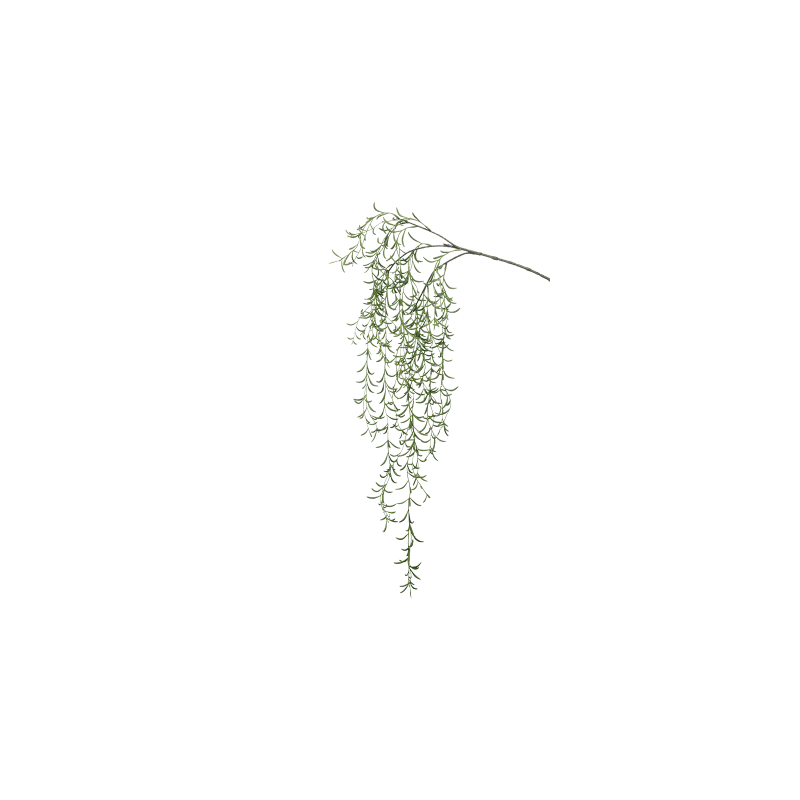 Hoya linearis tak - kunstplant