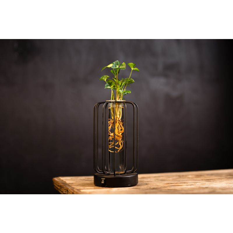 Florence Vierkant Zwart