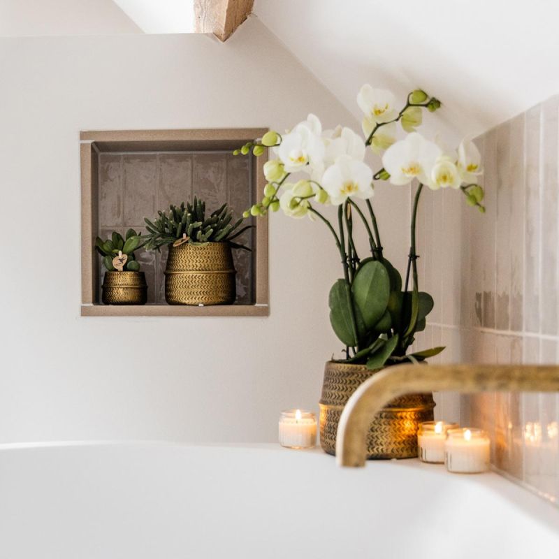 Orchidee Wit in Industrieel goud