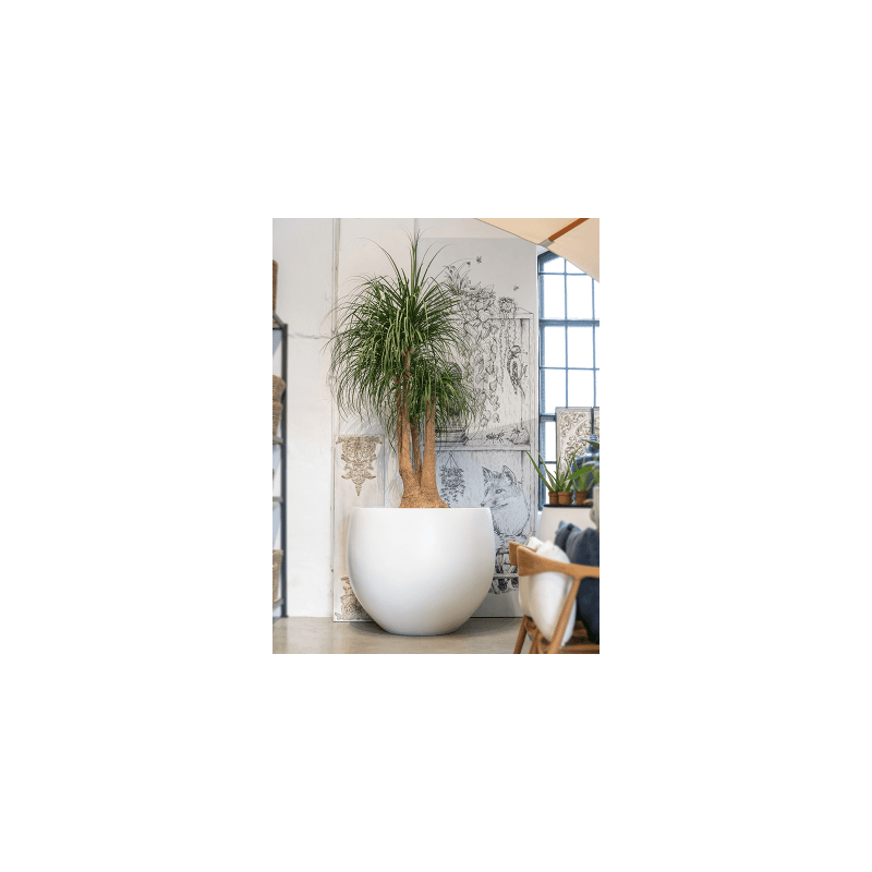Fiberstone Jumbo Orb Matt Wit