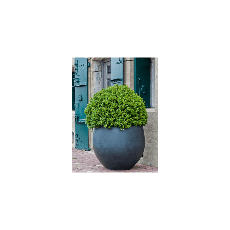 Fiberstone Jumbo Orb Zwart