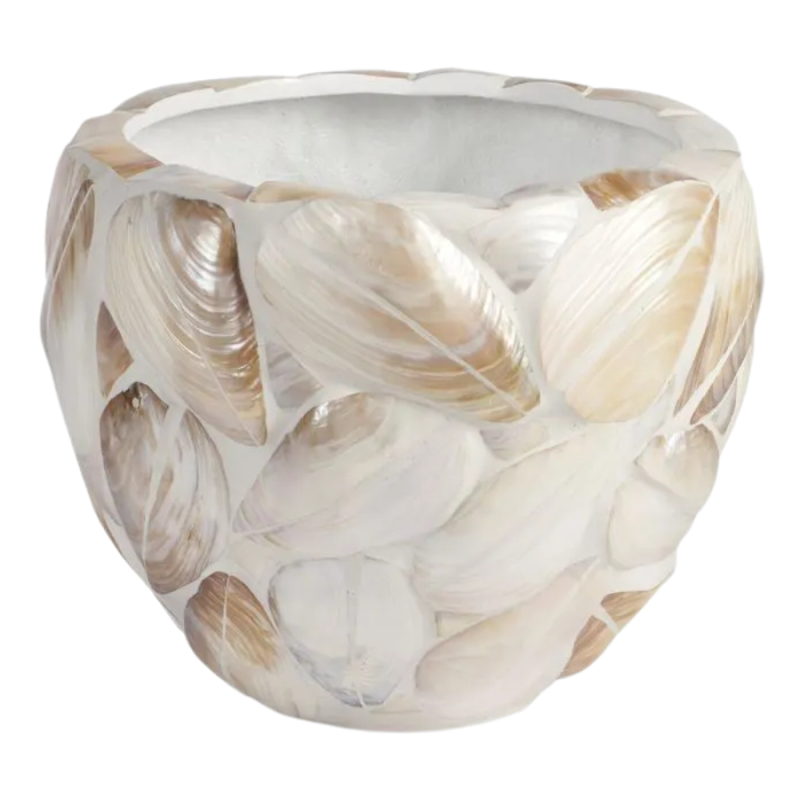 Kabibe Shell Bowl