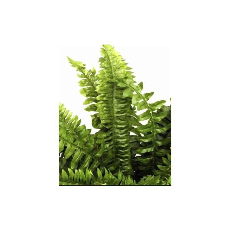 Large Fern - kunstplant