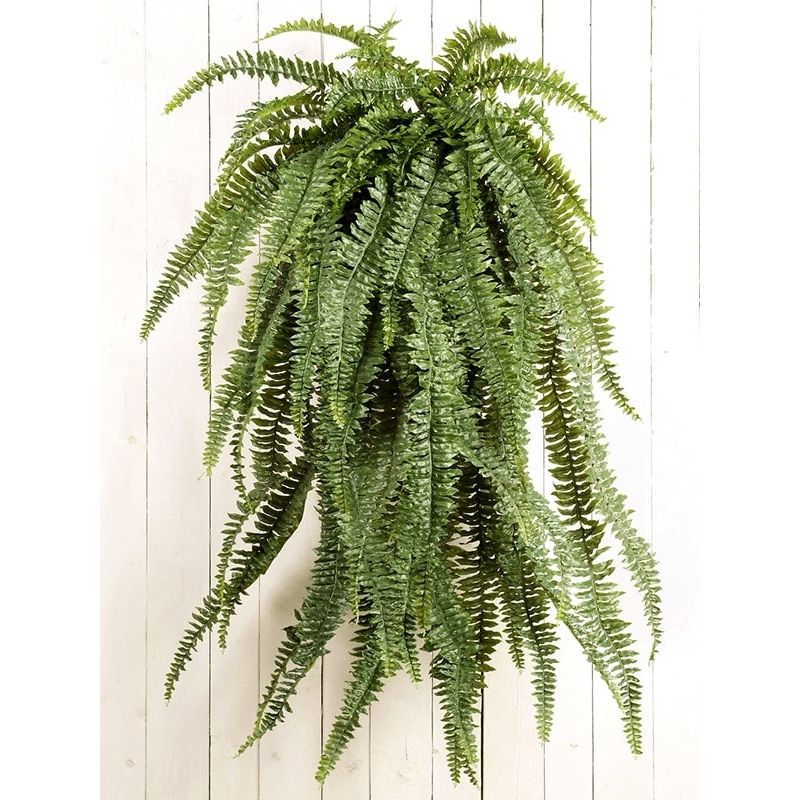 Large Fern - kunstplant