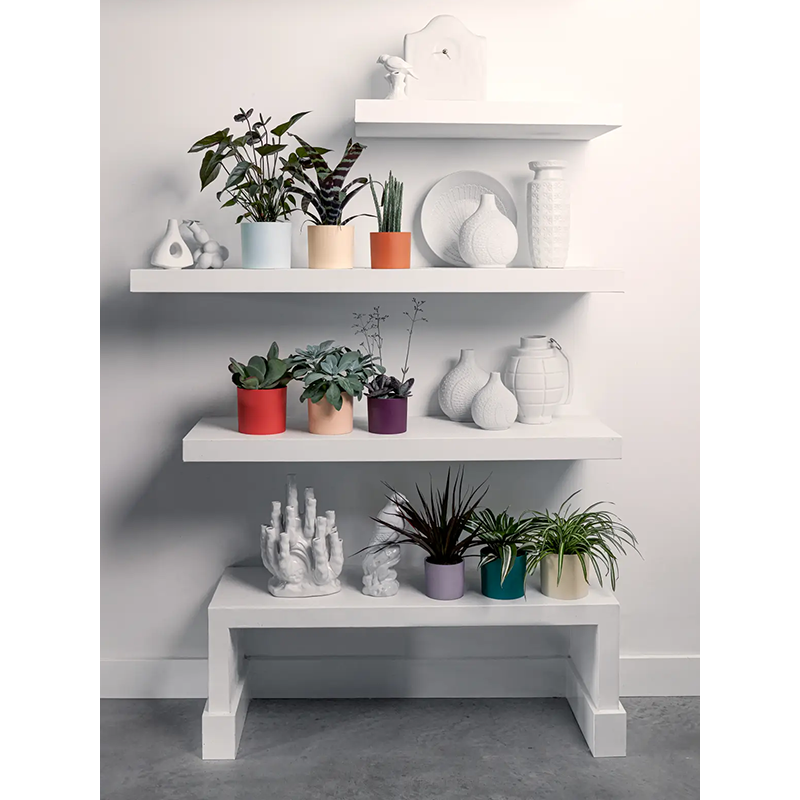 Lex Pott Velvet Cream Multicolor - set van 3