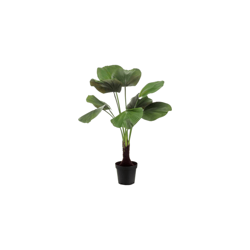 Licuala palm - kunstplant