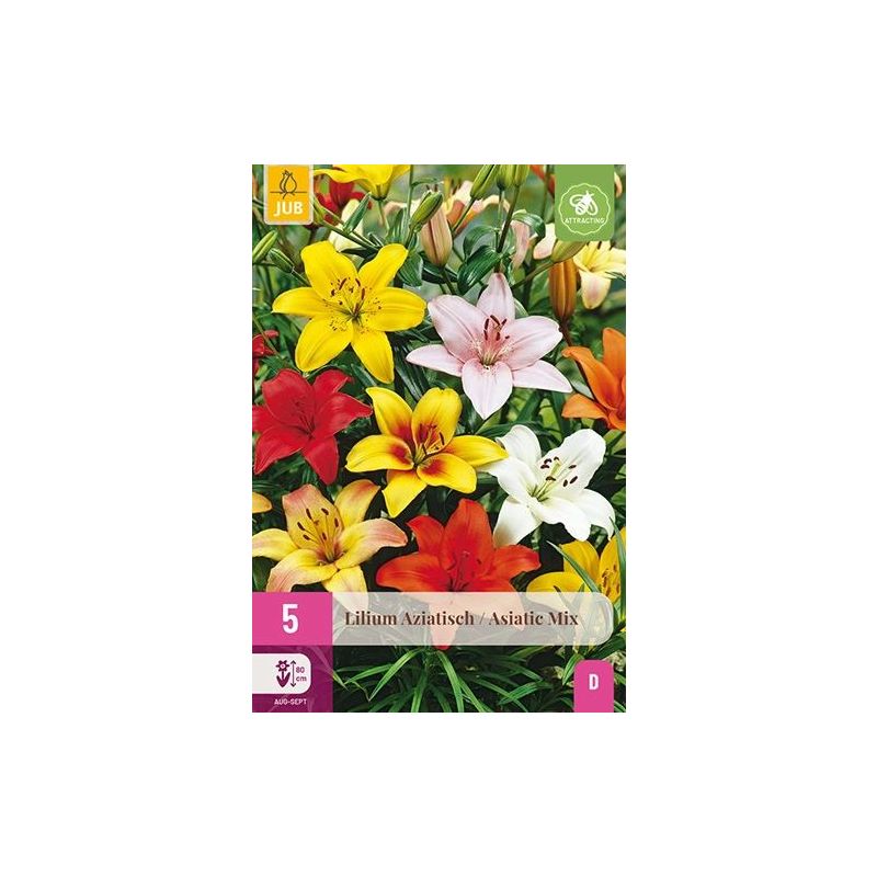 Lilium Aziatisch Mix - 5 stuks