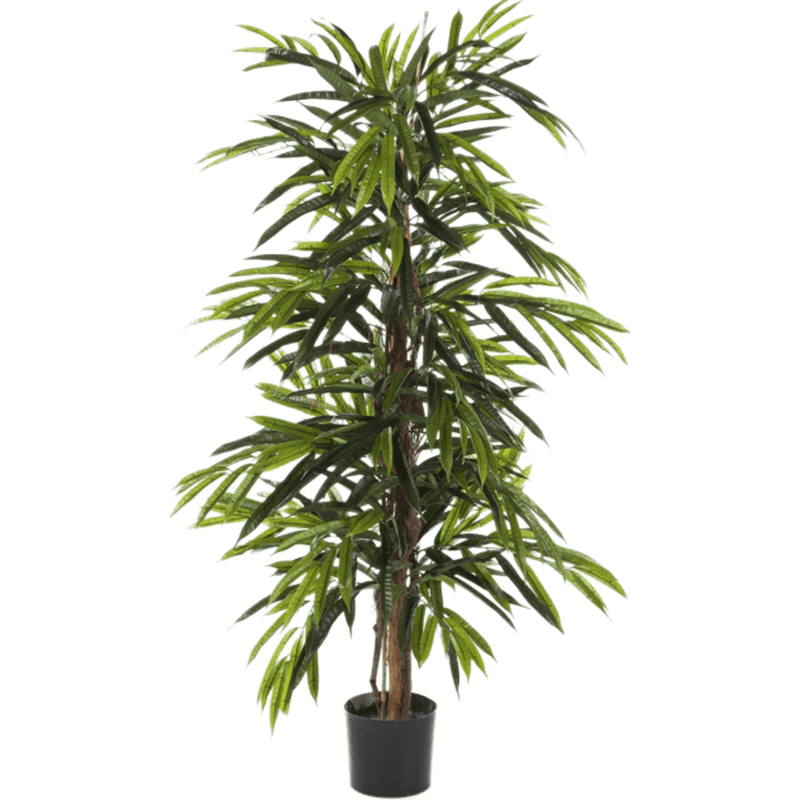 Longifolia - kunstplant