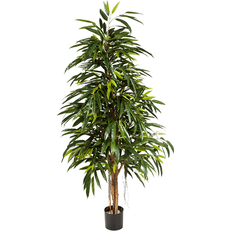 Longifolia Royal Natural - kunstplant