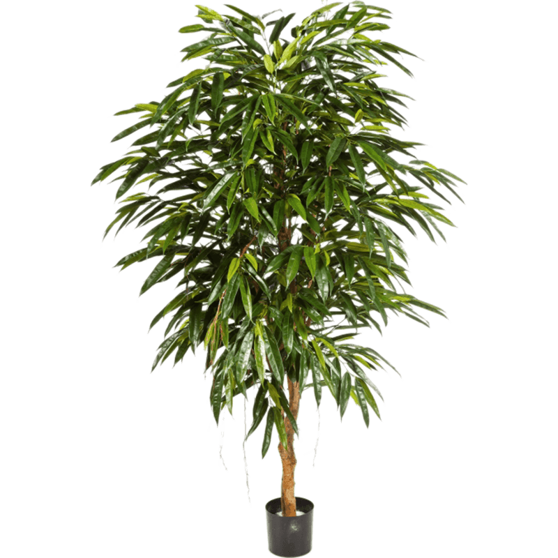Longifolia Royal Tree - kunstplant