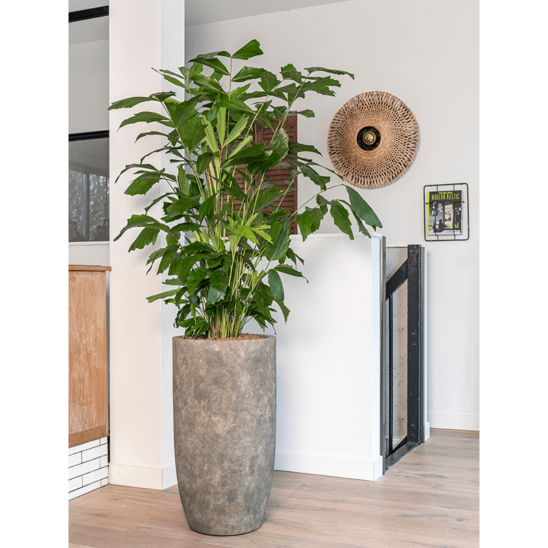 Luxe Lite Stone Luna Partner