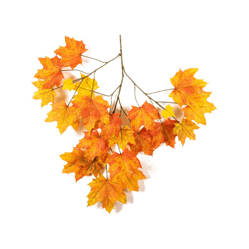 Acer blad oranje - kunstplant