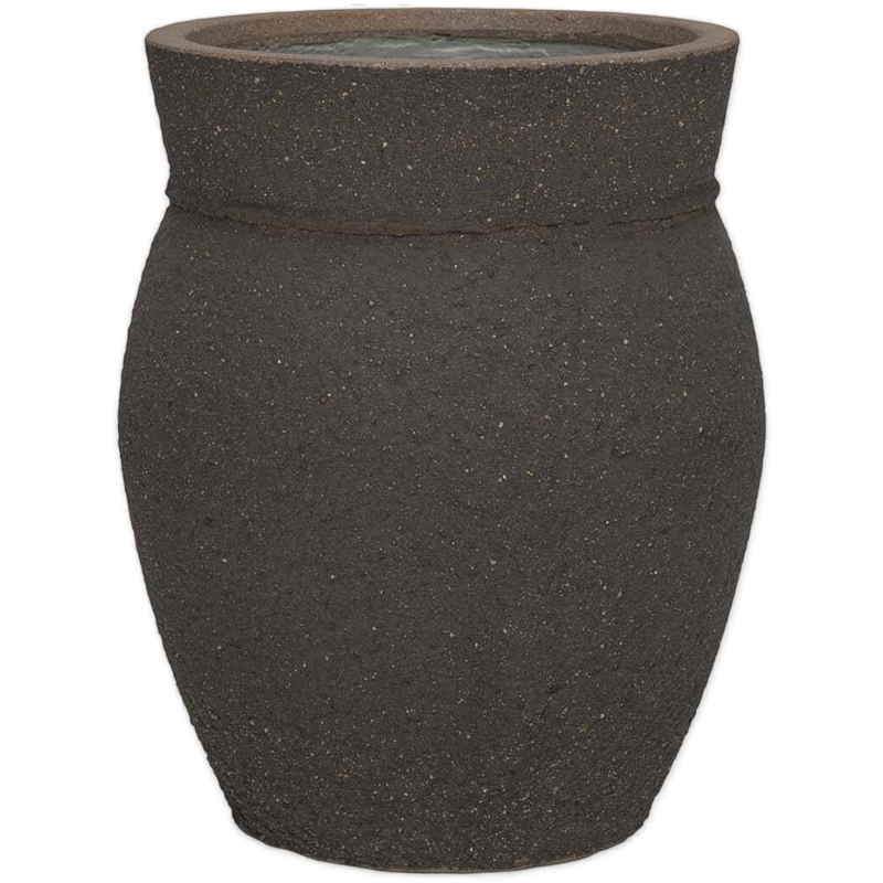 Mediterranean Apollo Omber Bruin