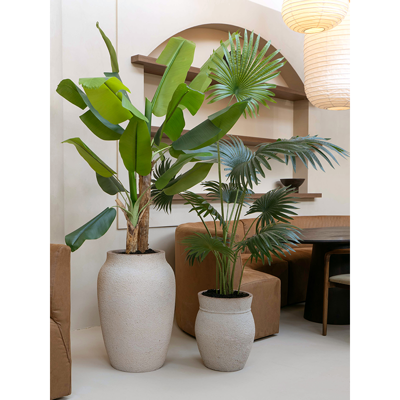 Mediterranean Apollo Sahara Zand