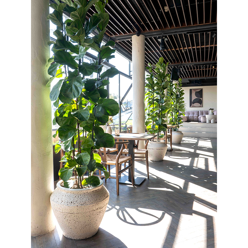 Mediterranean Athena Krijt Wit