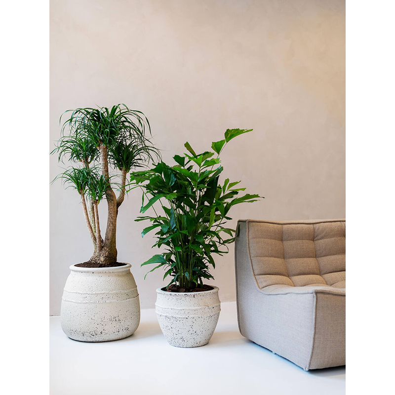 Mediterranean Athena Krijt Wit