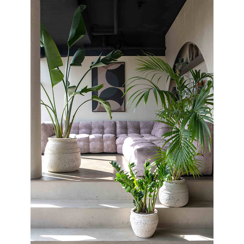 Mediterranean Hestia Krijt Wit